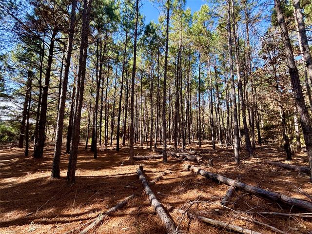 TBD Cr 300, Oakwood, TX 75855