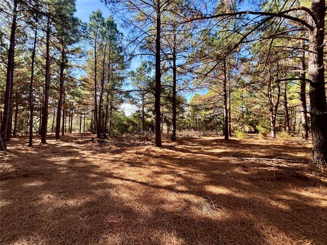 TBD Cr 300, Oakwood, TX 75855