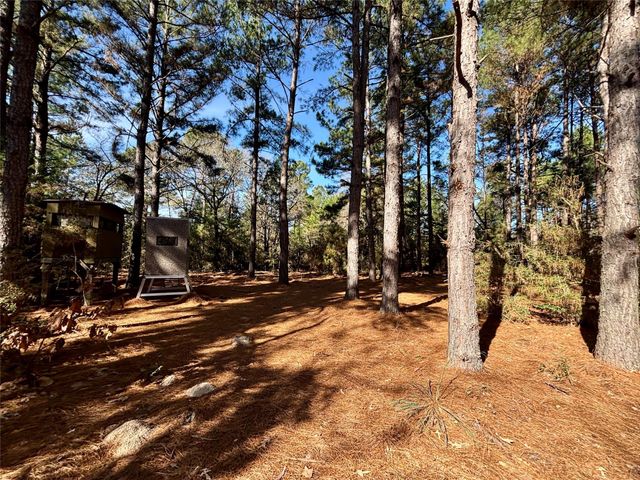 TBD Cr 300, Oakwood, TX 75855