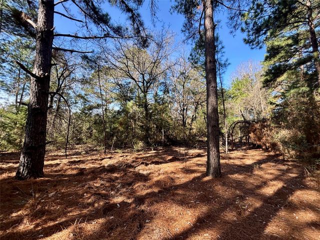TBD Cr 300, Oakwood, TX 75855