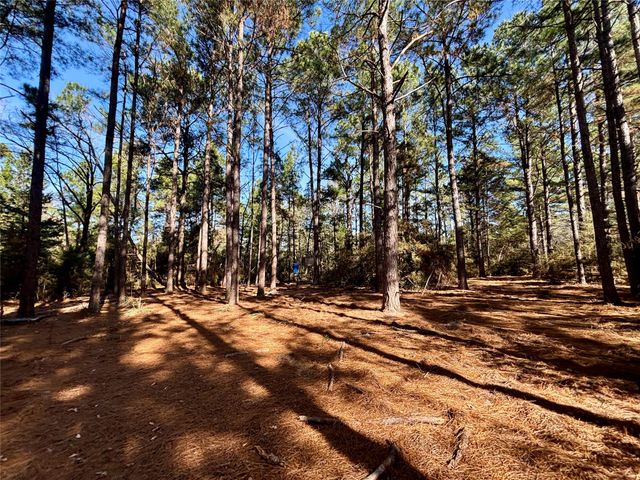 TBD Cr 300, Oakwood, TX 75855