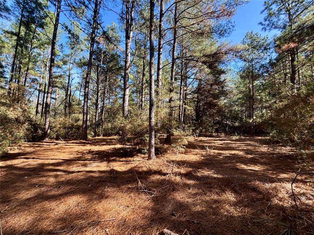 TBD Cr 300, Oakwood, TX 75855