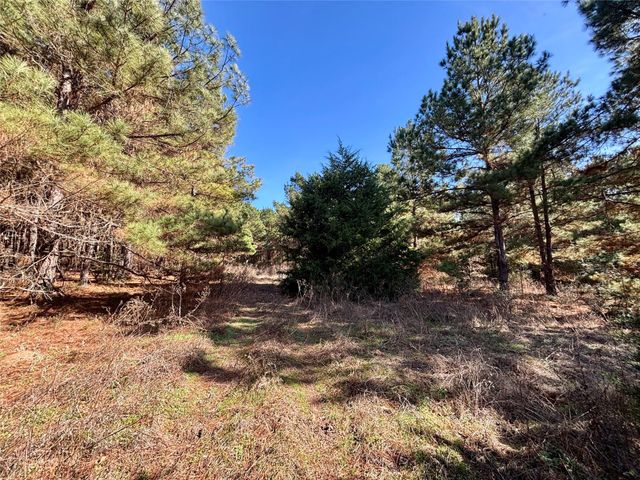 TBD Cr 300, Oakwood, TX 75855