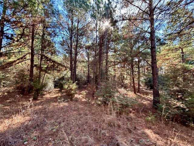 TBD Cr 300, Oakwood, TX 75855
