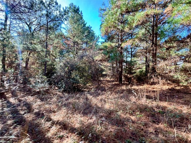 TBD Cr 300, Oakwood, TX 75855