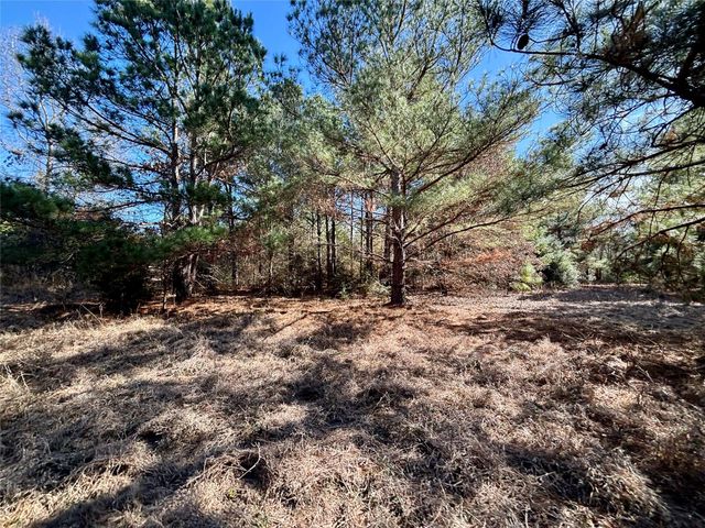 TBD Cr 300, Oakwood, TX 75855