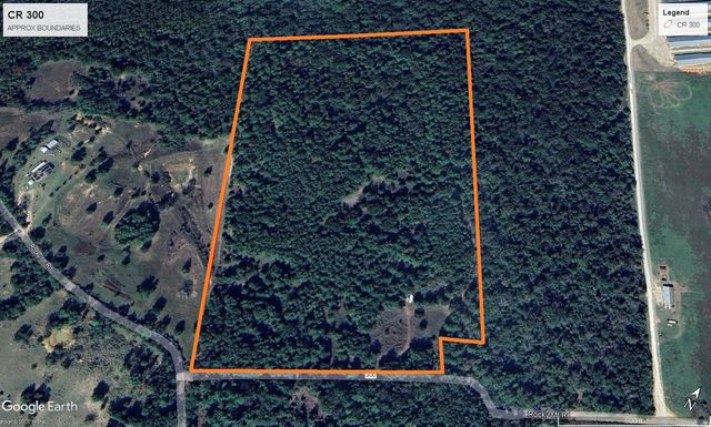 TBD Cr 300, Oakwood, TX 75855