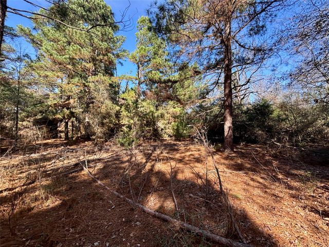 TBD Cr 300, Oakwood, TX 75855