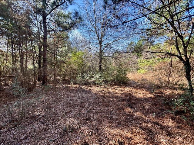 TBD Cr 300, Oakwood, TX 75855