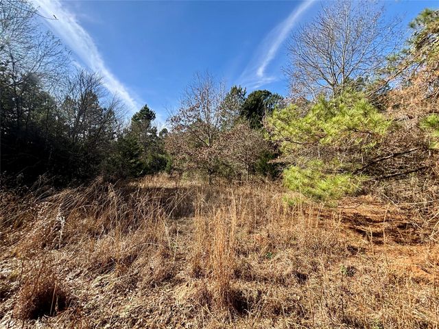 TBD Cr 300, Oakwood, TX 75855