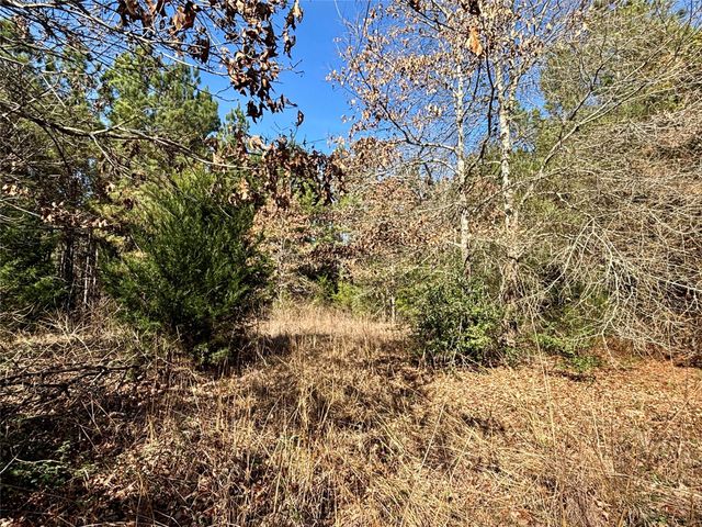 TBD Cr 300, Oakwood, TX 75855