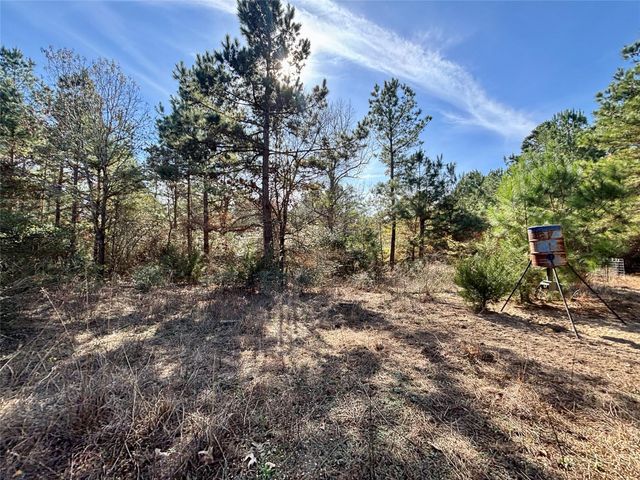 TBD Cr 300, Oakwood, TX 75855