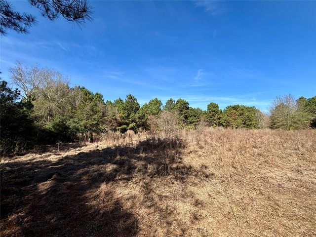 TBD Cr 300, Oakwood, TX 75855