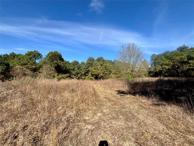 TBD Cr 300, Oakwood, TX 75855