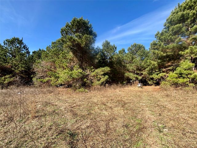 TBD Cr 300, Oakwood, TX 75855