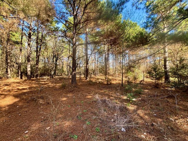 TBD Cr 300, Oakwood, TX 75855