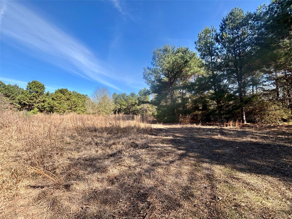 TBD Cr 300, Oakwood, TX 75855
