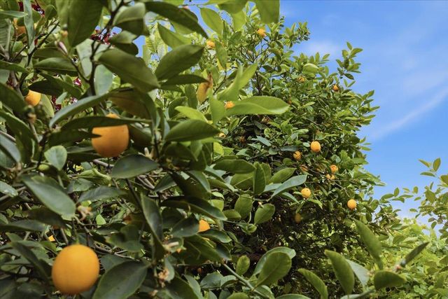 5836 Santa Teresa Boulevard, San Jose, CA 95123