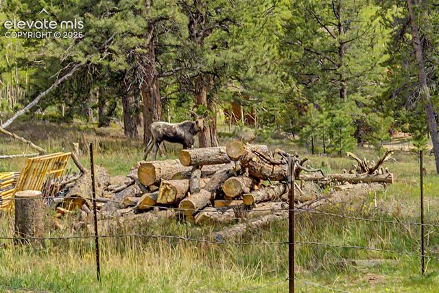 26 Howe Court, Black Hawk, CO 80422