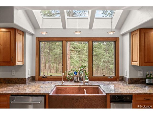 29474 Firethorne Ct, Evergreen, CO 80439