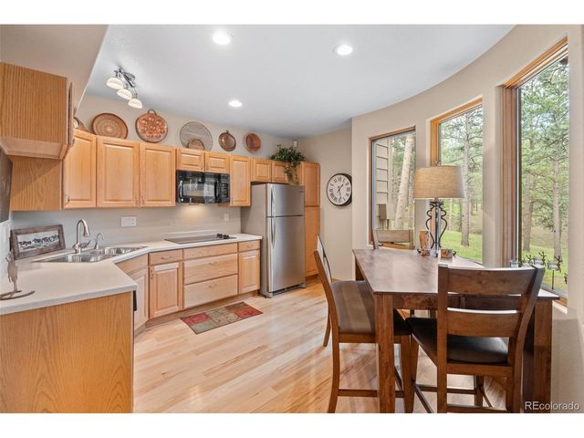29474 Firethorne Ct, Evergreen, CO 80439
