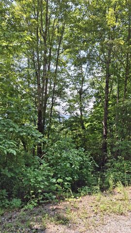 521 Signal Ridge 26, Sylva, NC 28779