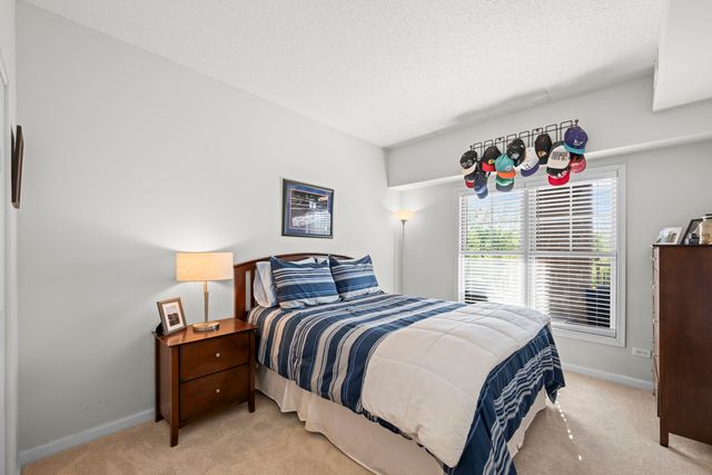 125 Lakeview Drive 301, Bloomingdale, IL 60108