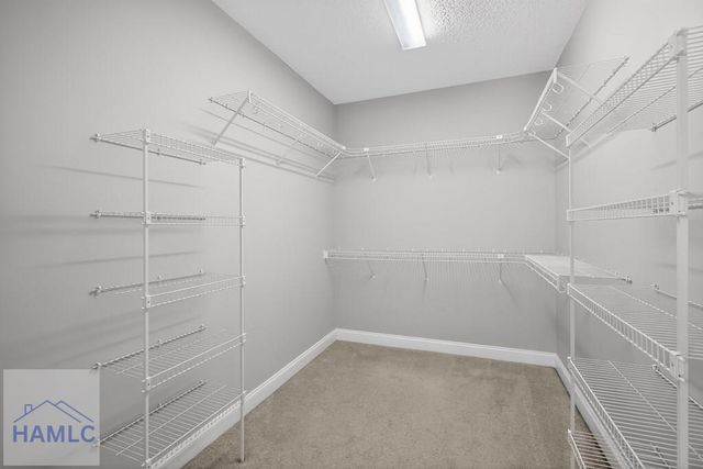 799 Brigham Drive, Richmond Hill, GA 31324