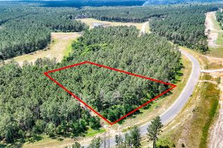 15469 Forest Grove Drive, Willis, TX 77378