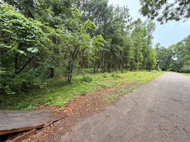 5265 Pecan Tree Lane, Montgomery, TX 77316
