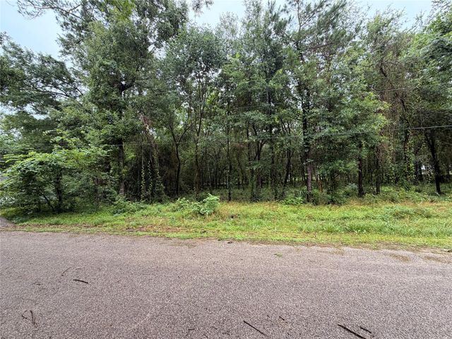 5265 Pecan Tree Lane, Montgomery, TX 77316