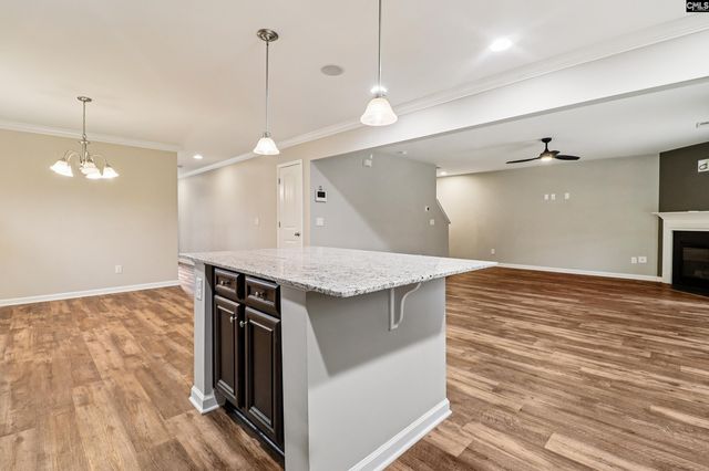 430 Blue Garden Way, Columbia, SC 29223