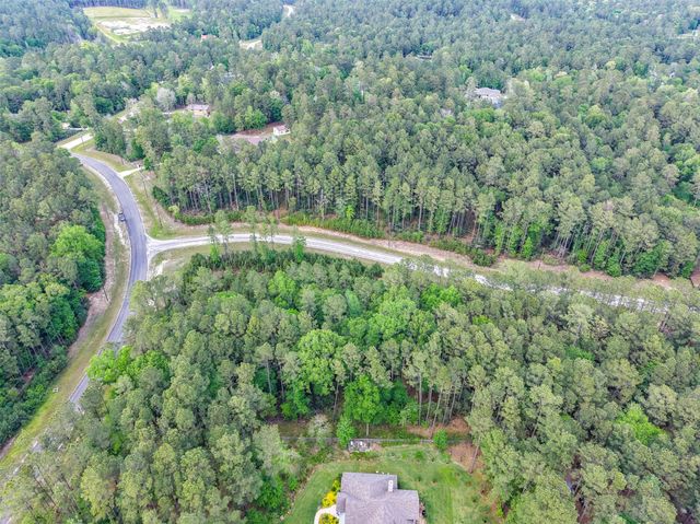 411 Sundog Road, Huntsville, TX 77340