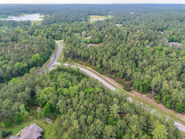 411 Sundog Road, Huntsville, TX 77340
