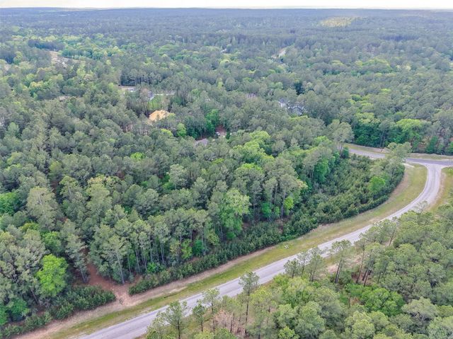 411 Sundog Road, Huntsville, TX 77340