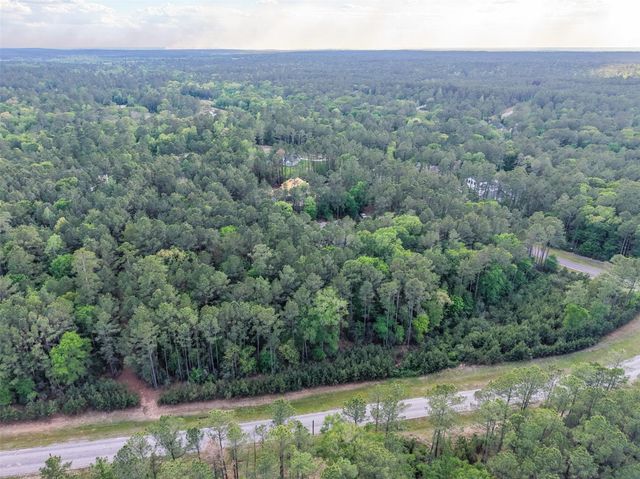 411 Sundog Road, Huntsville, TX 77340