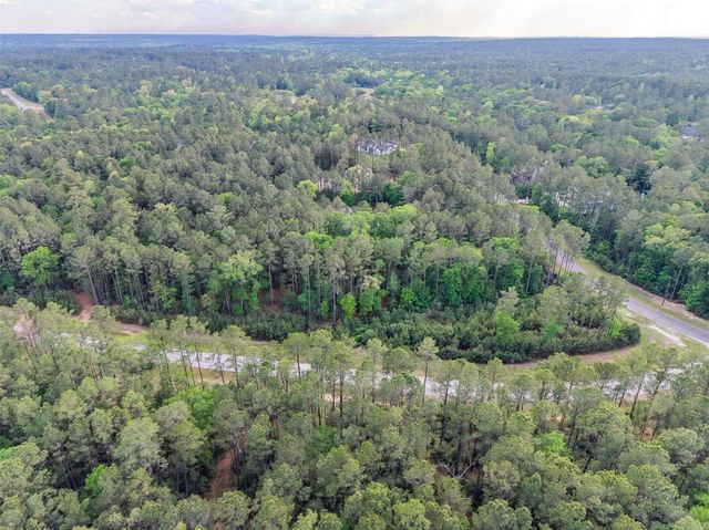 411 Sundog Road, Huntsville, TX 77340