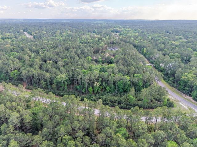 411 Sundog Road, Huntsville, TX 77340