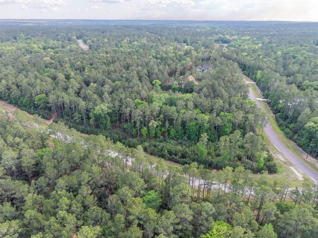 411 Sundog Road, Huntsville, TX 77340
