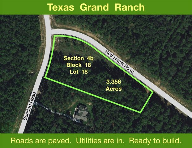 411 Sundog Road, Huntsville, TX 77340