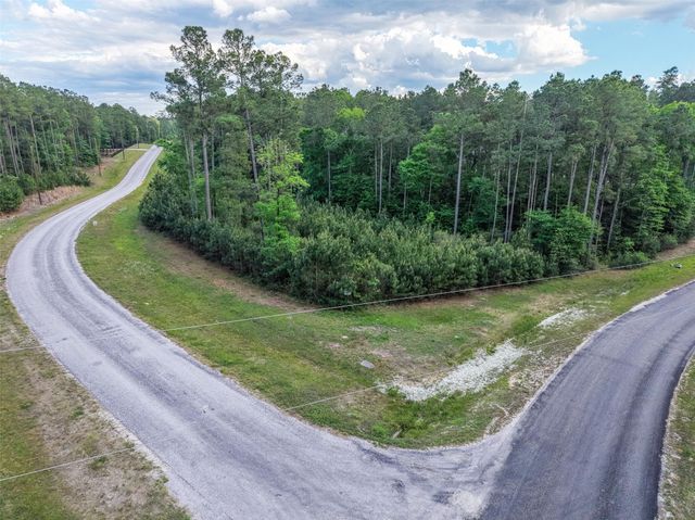 411 Sundog Road, Huntsville, TX 77340