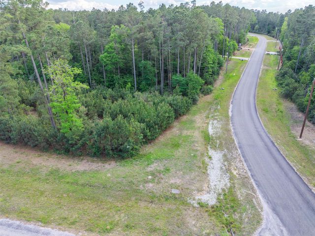 411 Sundog Road, Huntsville, TX 77340