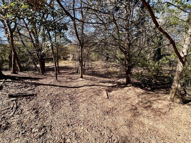 25ac State HWY 56, Bells, TX 75414