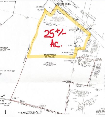 25ac State HWY 56, Bells, TX 75414
