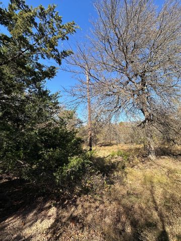 25ac State HWY 56, Bells, TX 75414