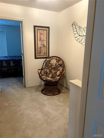 4605 Sherman Park Drive 13E, St Charles, MO 63303