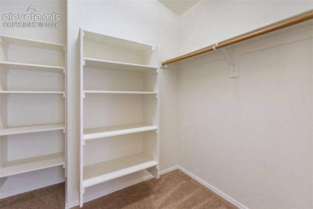 671 Misty Pines Circle, Woodland Park, CO 80863
