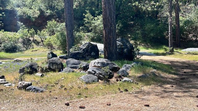 8719 Cave City Rd, Mountain Ranch, CA 95246