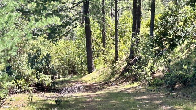 8719 Cave City Rd, Mountain Ranch, CA 95246