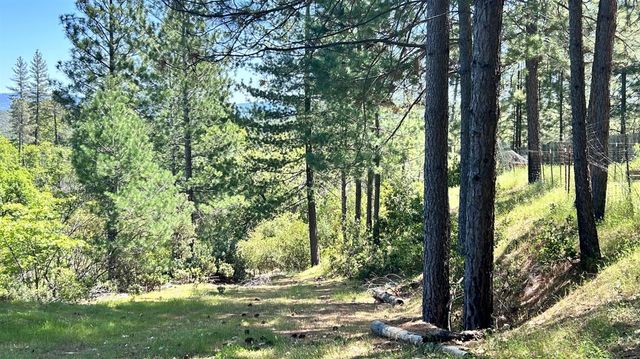 8719 Cave City Rd, Mountain Ranch, CA 95246